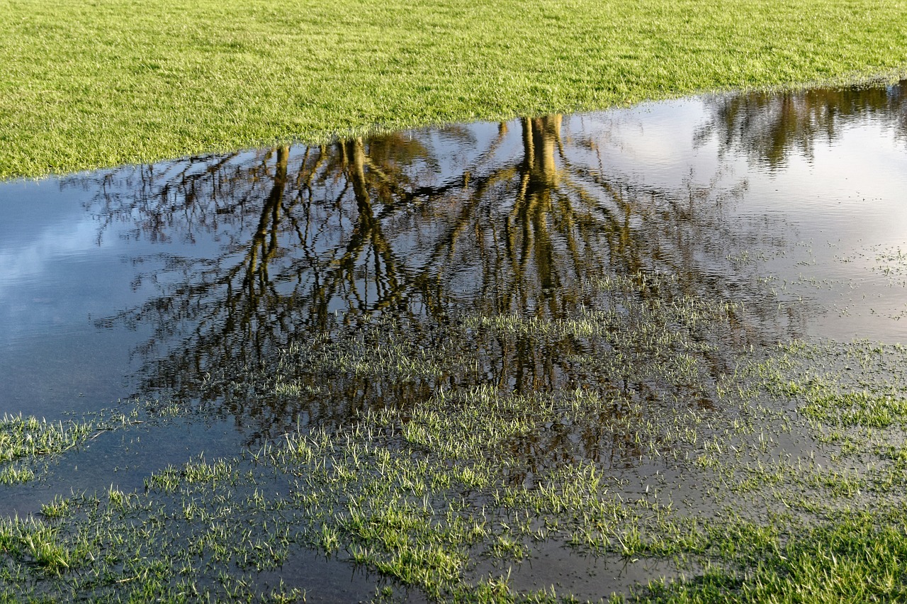 Lawn Flooding Landscape Drainage Options For Controlling Backyard Water